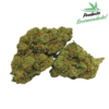 Amnesia Hydro