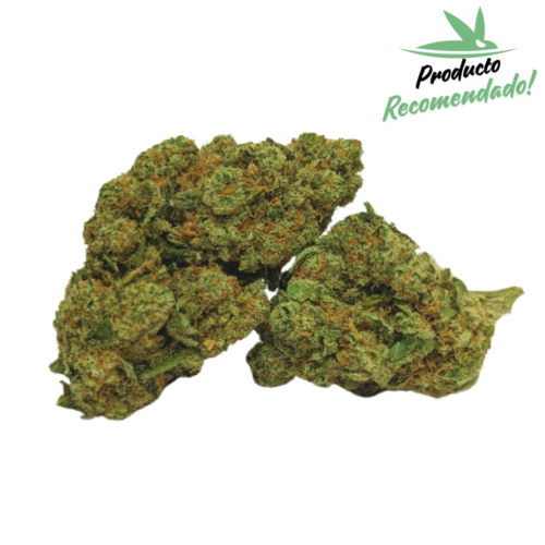 Amnesia Hydro