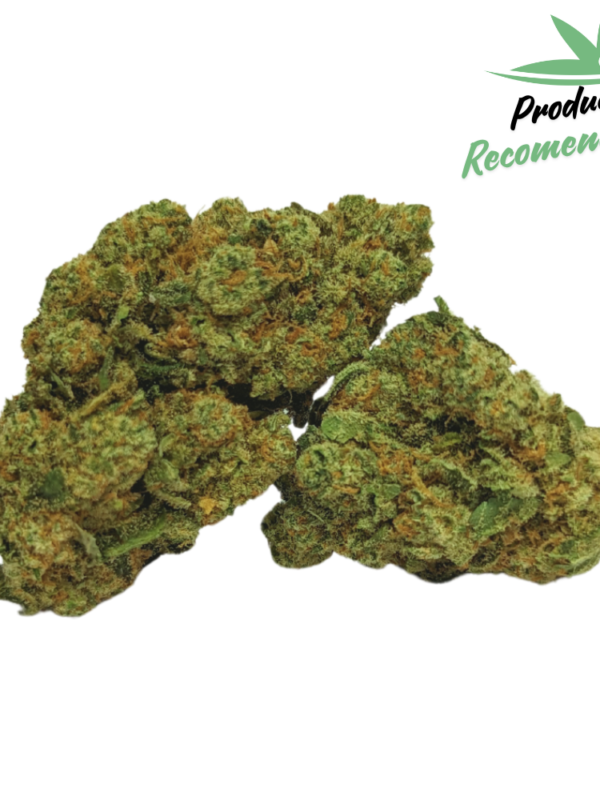 Amnesia Hydro