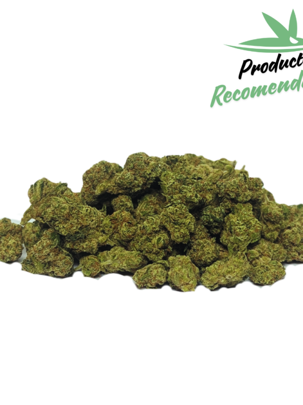 Amnesia Hidro Small