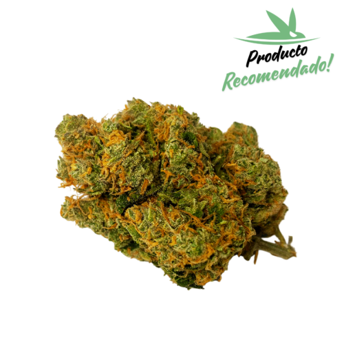 !!Oferta 10g x 33€¡¡ Amnesia Hidro