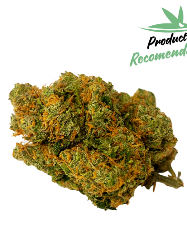 !!Oferta 10g x 33€¡¡ Amnesia Hidro