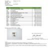 BUBBLEICE_0.2_CertificateofAnalysis_D0000482_Canna_EN_BASIC.pdf.jpg Ice Triple filtrado