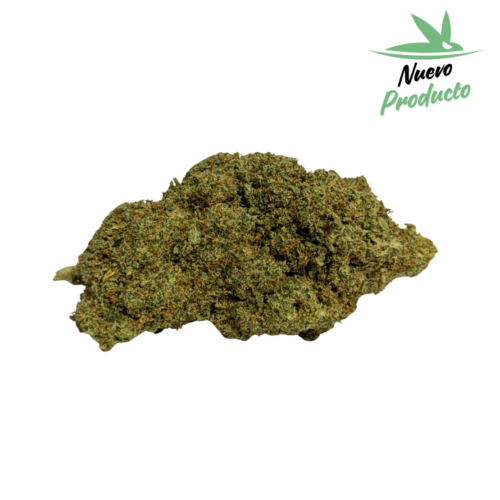 Cali Lemon Premium