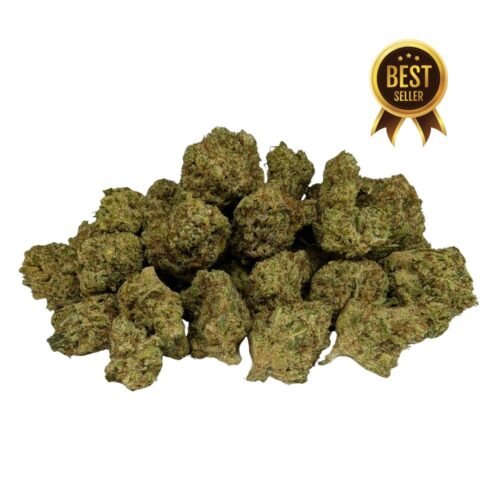 Oferta 10g Cali small Indoor