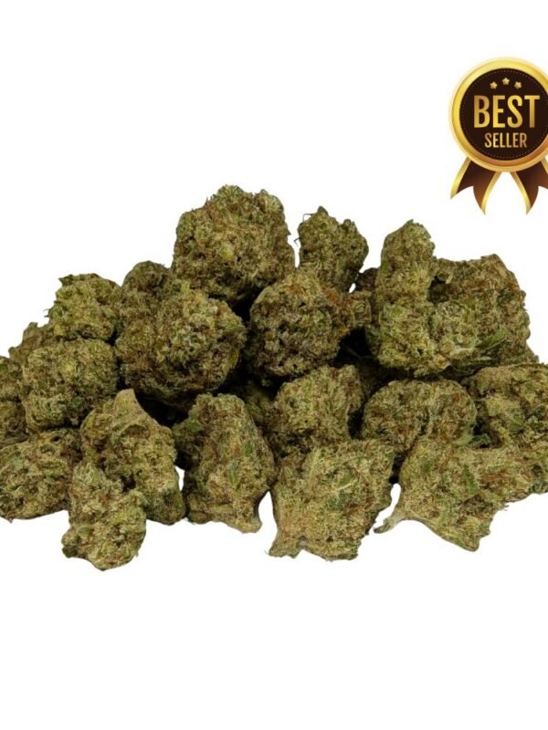 Oferta 10g Cali small Indoor