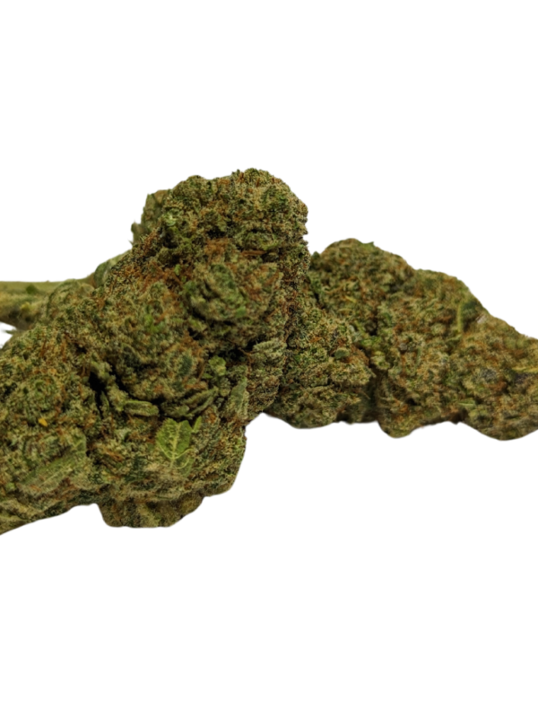 Cali Dream Hidro
