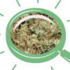 ¡¡Oferta 10g!! Northern Lights Hidroponica