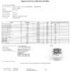 NorthernLightsAnalitica.pdf_b5a006a0-3ddd-4519-8dc8-83360589b96b.jpg Northern Lights Hidro Small.