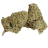 Alien  Indoor