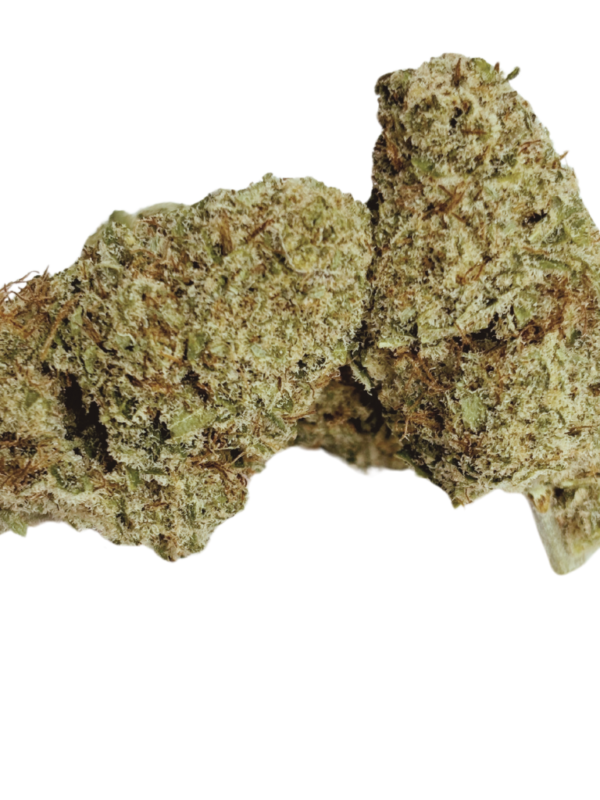 Alien  Indoor