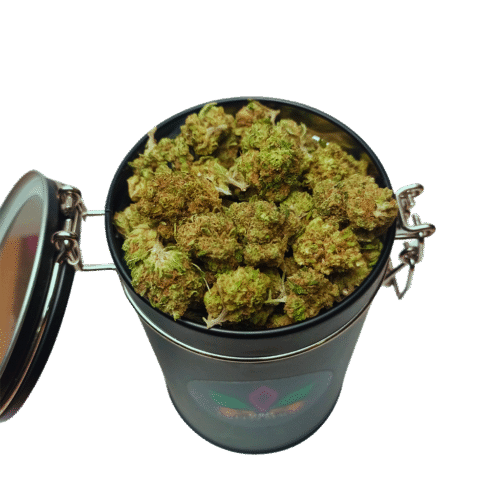 Flores Medianas  Mango Haze 50GR