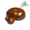 charapr.png Charas