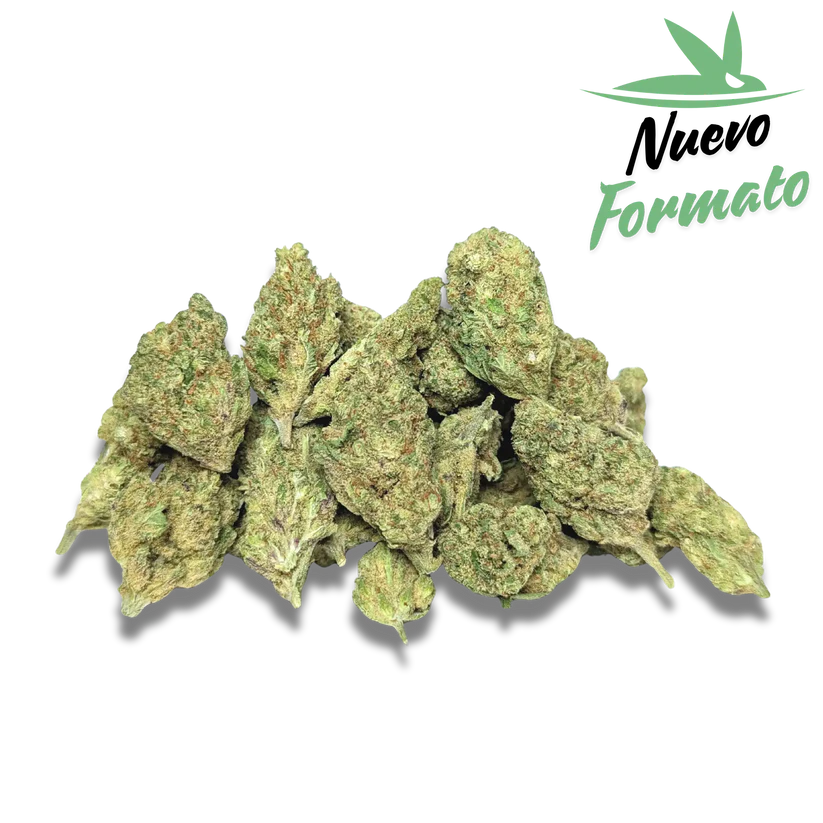 Flores CBD premium