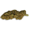 Godzilla Hydro