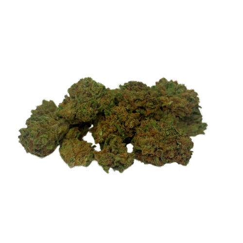 Gorilla Glue small