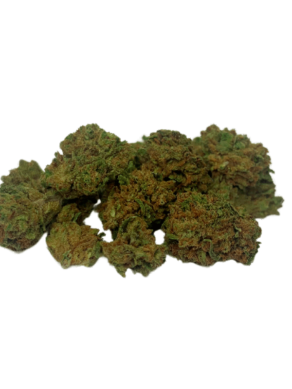 Gorilla Glue small