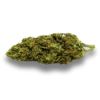 Mango Haze